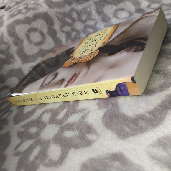 A Reliable Wife  Robert Goolrick fiction mystery romance historical novel - Picture 4 of 7